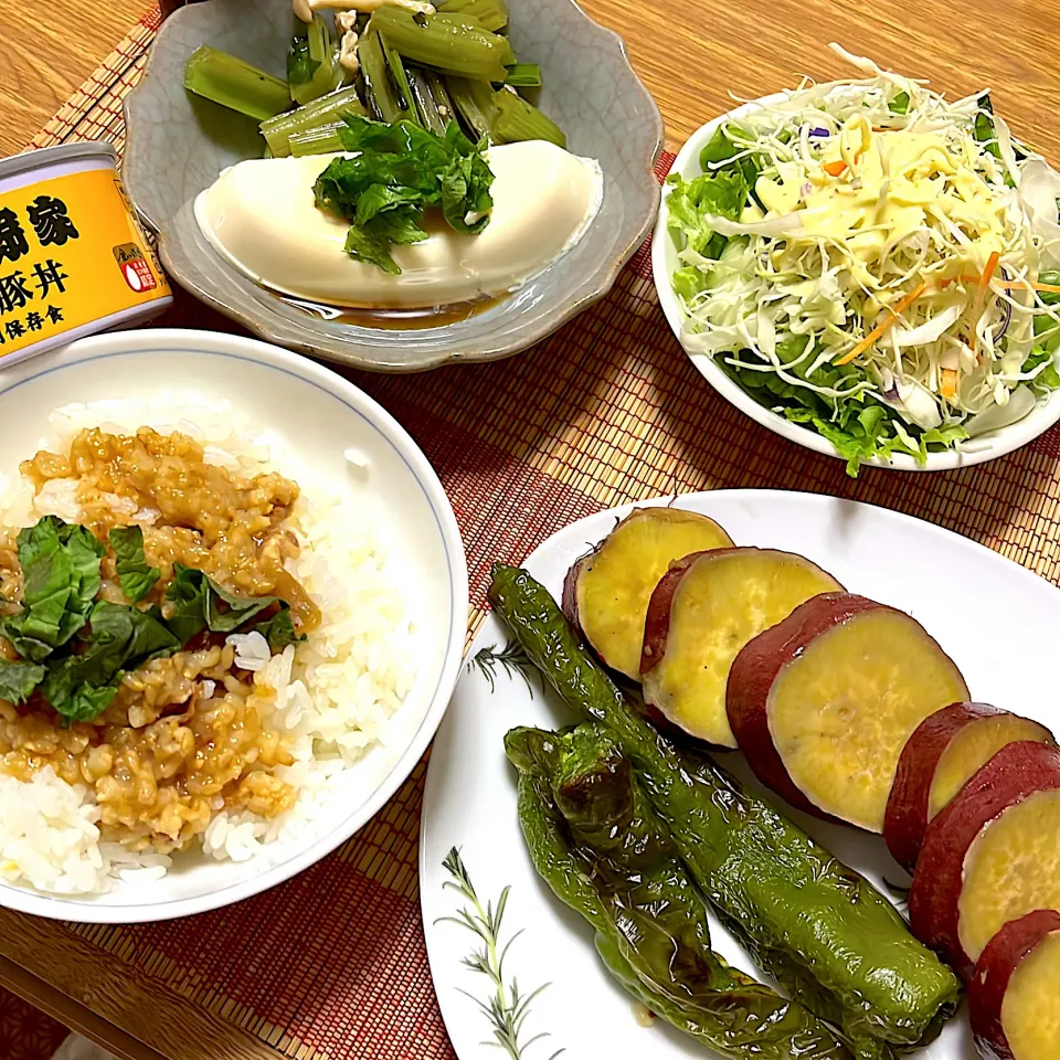 2023/07/19 吉野家 豚丼のせごはん、男前冷奴、うまい菜ナムル、シシトウ&さつまいもグリル|kykyさん