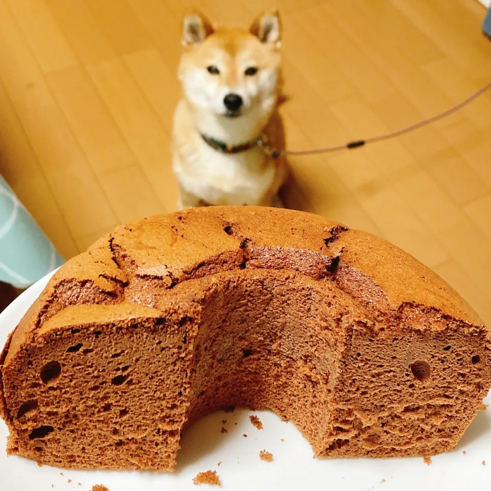 Snapdishの料理写真:僕ちんハピバ|あーるさん