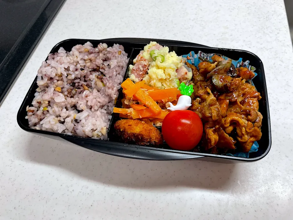 7/21 彼氏弁当⁂ぶた肉となすの味噌炒め弁当|ゆさん