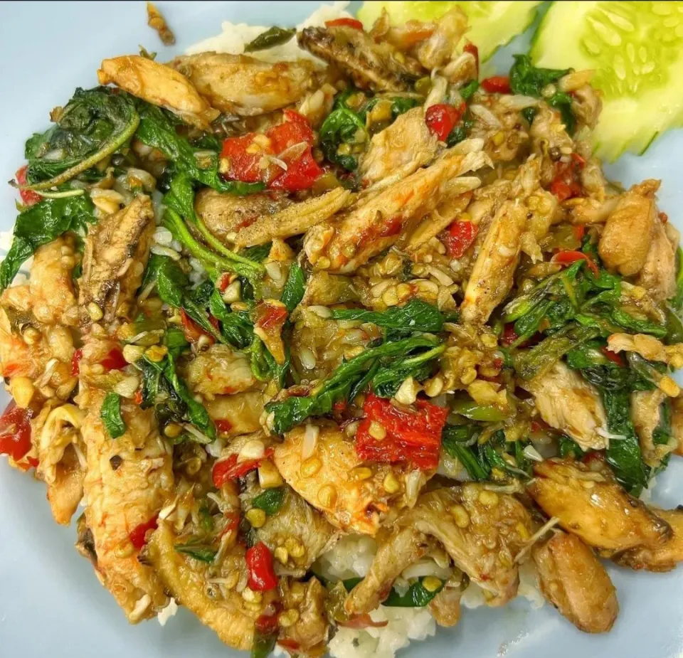 Spicy Stir-Fried Holy Basil w/ Crab Meat aka 'Pad Gaprao Puu' (ผัดกะเพราปู) 🌶️🦀🌶️🤤|An'leeさん