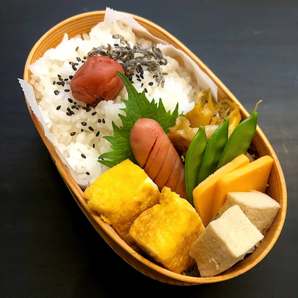 お父さん弁当|みちさん