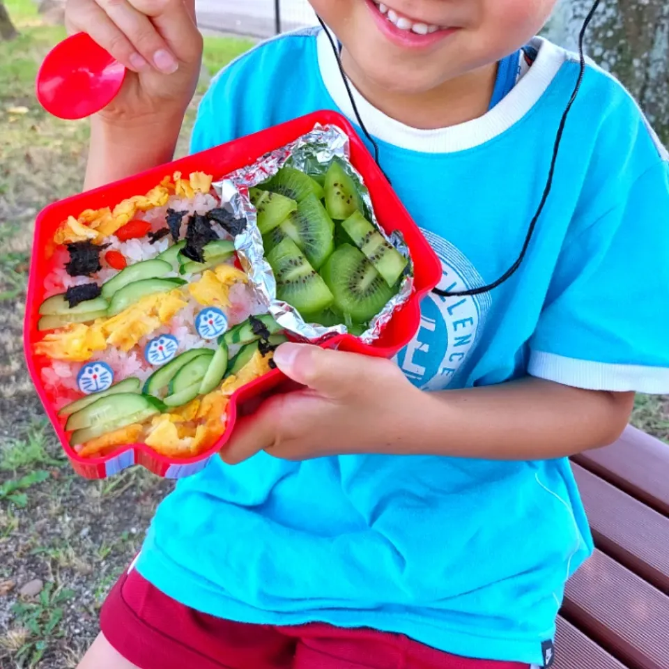 ちらし寿司弁当～１学期お疲れ様ピクニック～|☆ちび☆さん