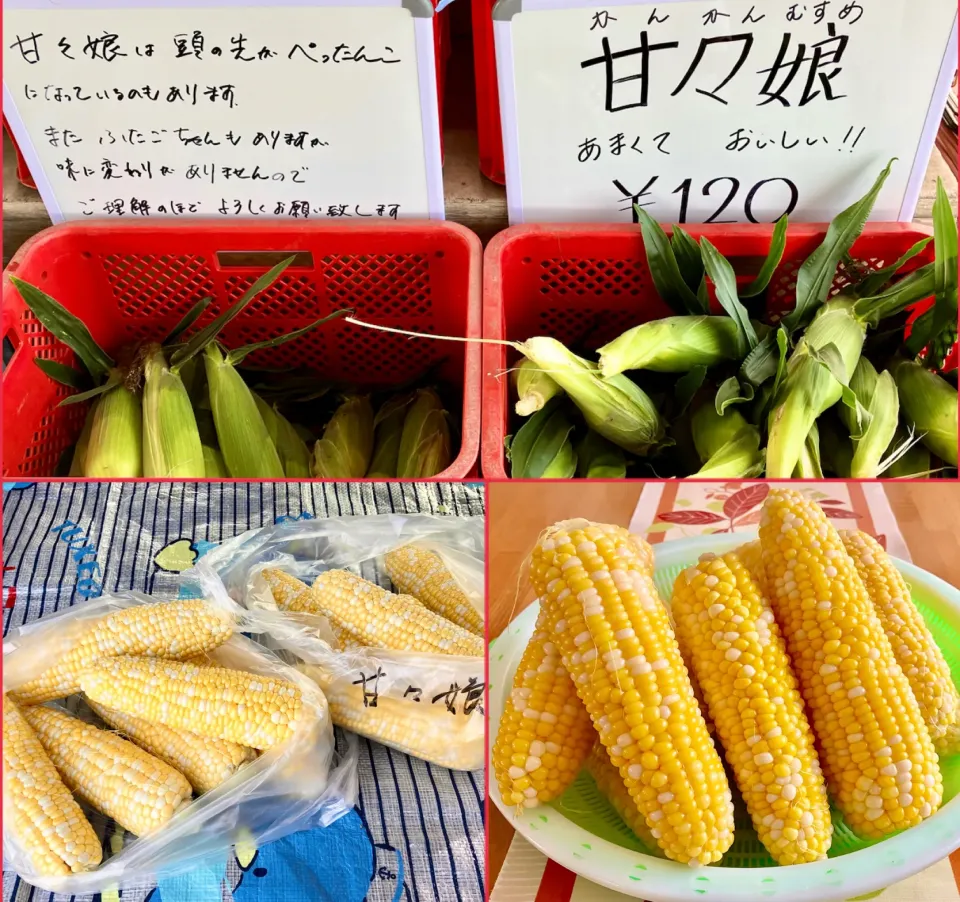 今年の初物🌽とうもろこし|🌻ako ·͜·♡peco🌻さん