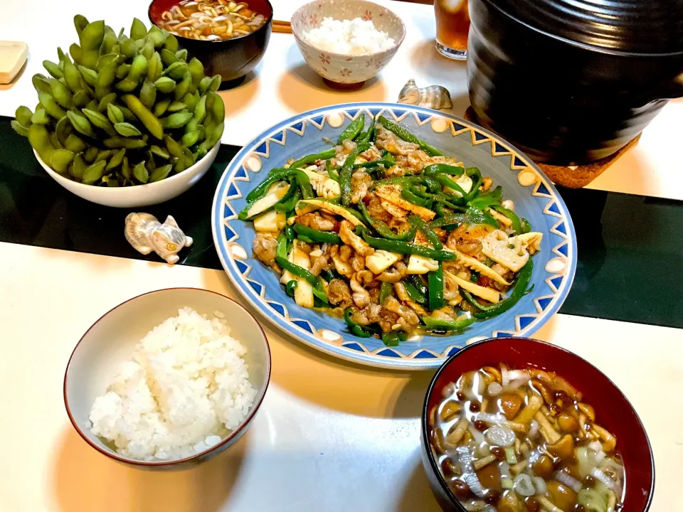 青椒肉絲と枝豆と味噌汁で晩御飯|Takeshi  Nagakiさん