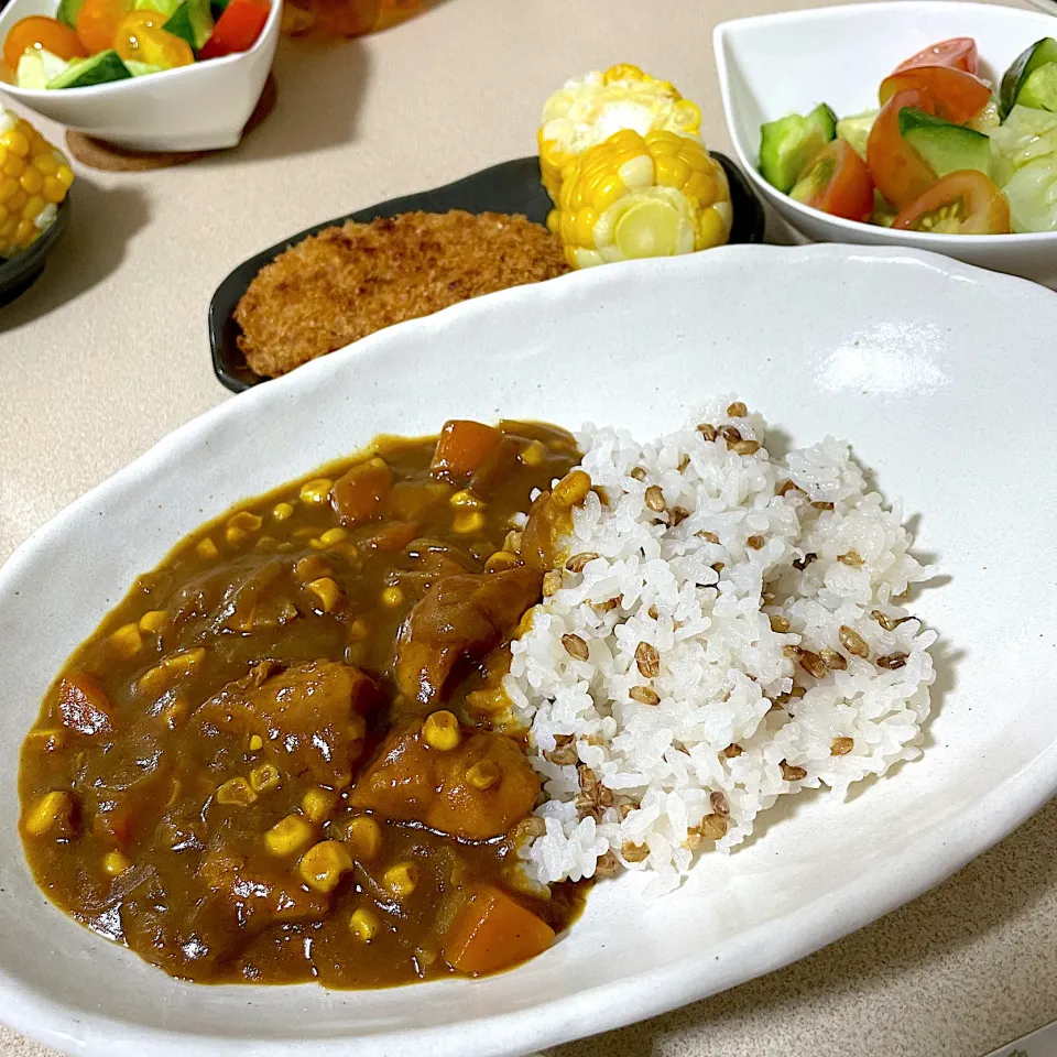 Snapdishの料理写真:230720晩ごはん|mioさん