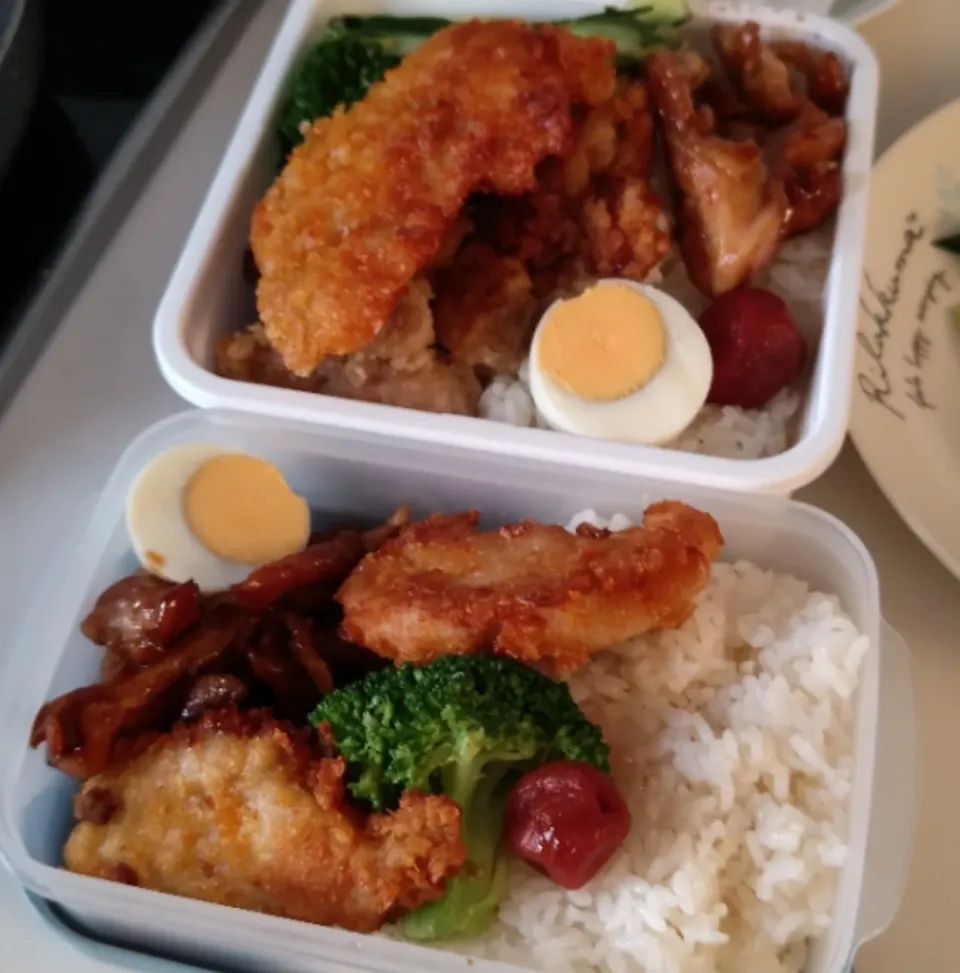 今日のお弁当|そごうりんさん