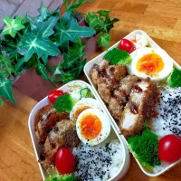 メンチカツ弁当🍱|COCOMO🌼*･さん