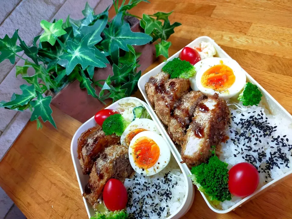 メンチカツ弁当🍱|COCOMO🌼*･さん