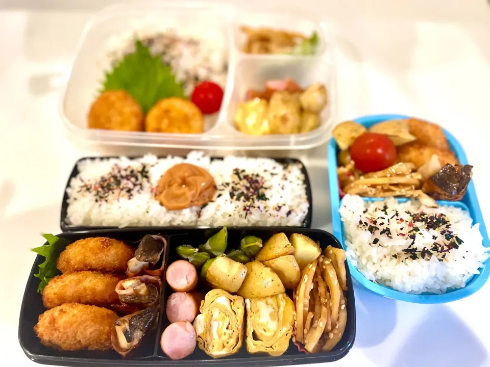 Snapdishの料理写真:夏休み🌻お弁当3つ💦|ころころさん