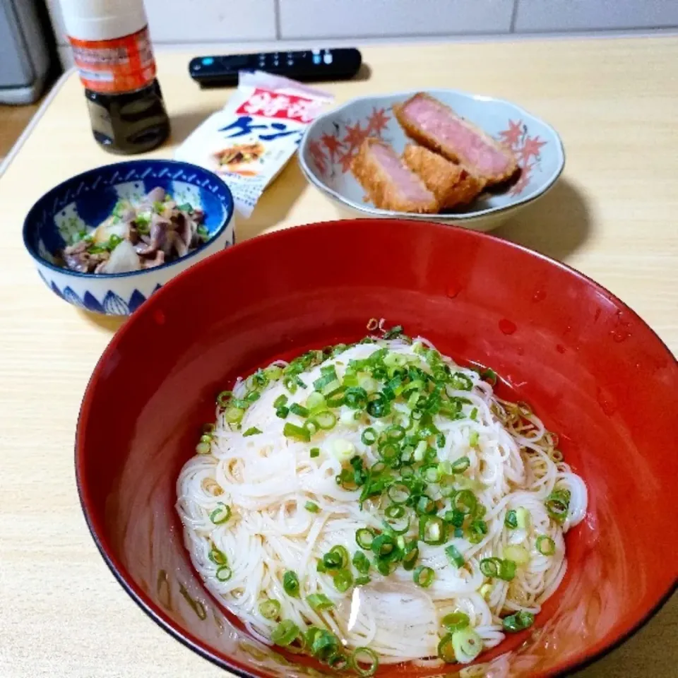 そうめん
砂肝ポン酢
ハムカツ
とうふ。|ariyo4200さん