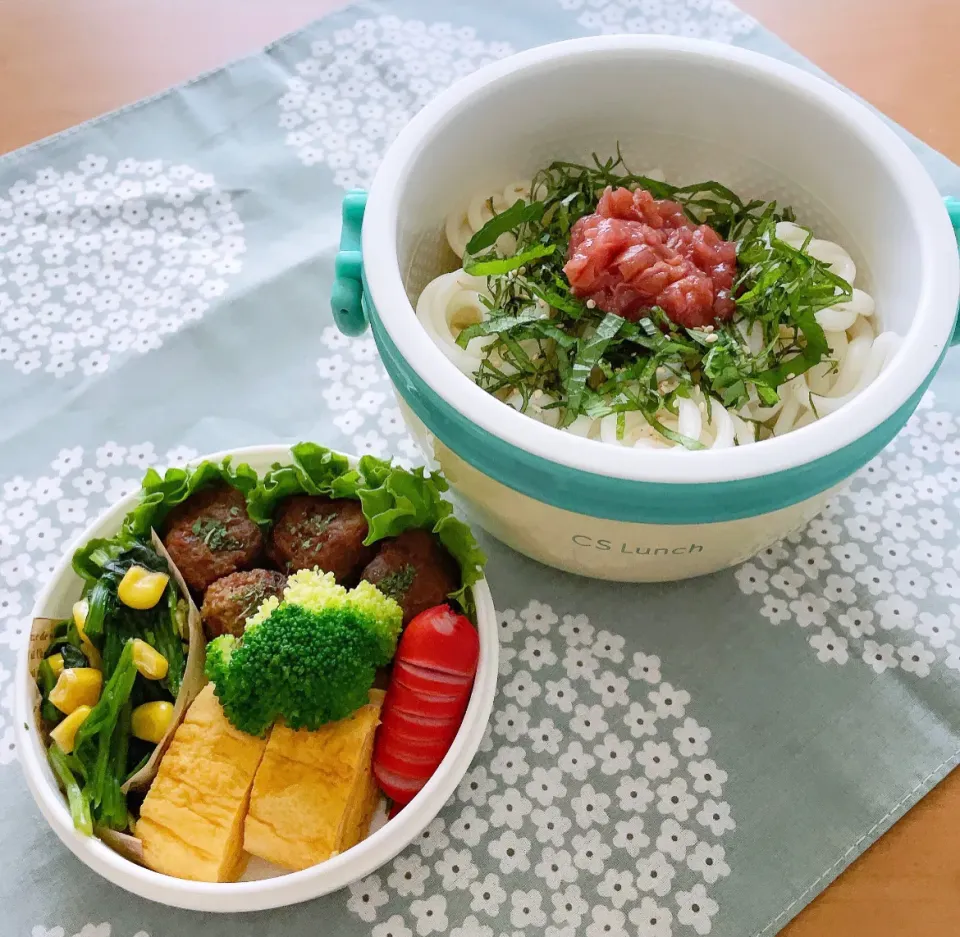 Snapdishの料理写真:2023/7/28 今日のお弁当|kimiさん