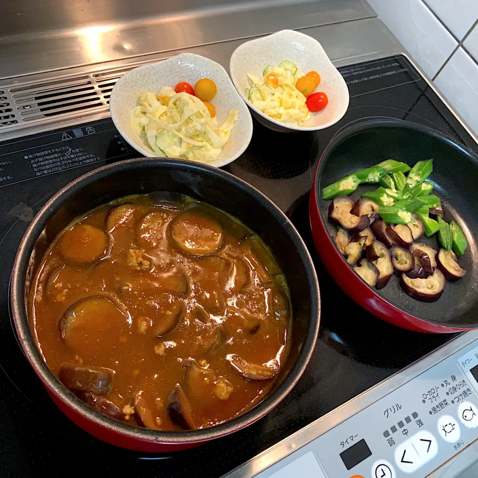 7/28.29  夏野菜カレー🍛|らぶちあんさん