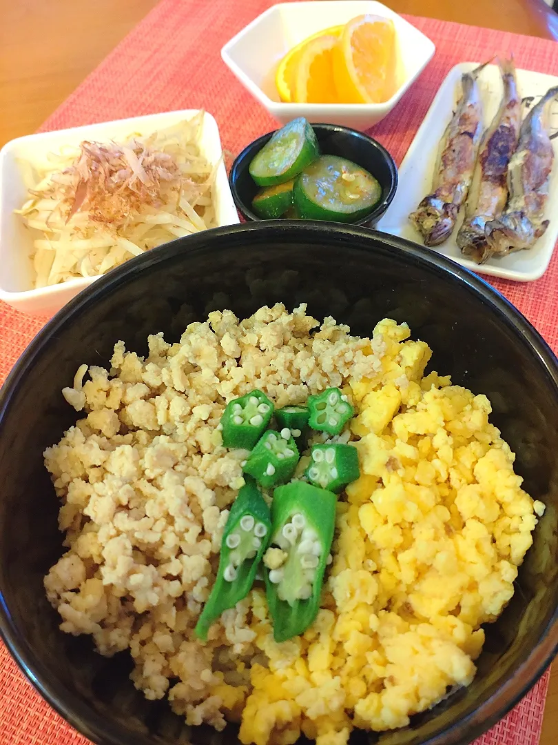 ☆三色丼
☆焼きシシャモ
☆モヤシおかか和え
☆キュウリキムチ
☆サワーオレンジ|chikakoさん