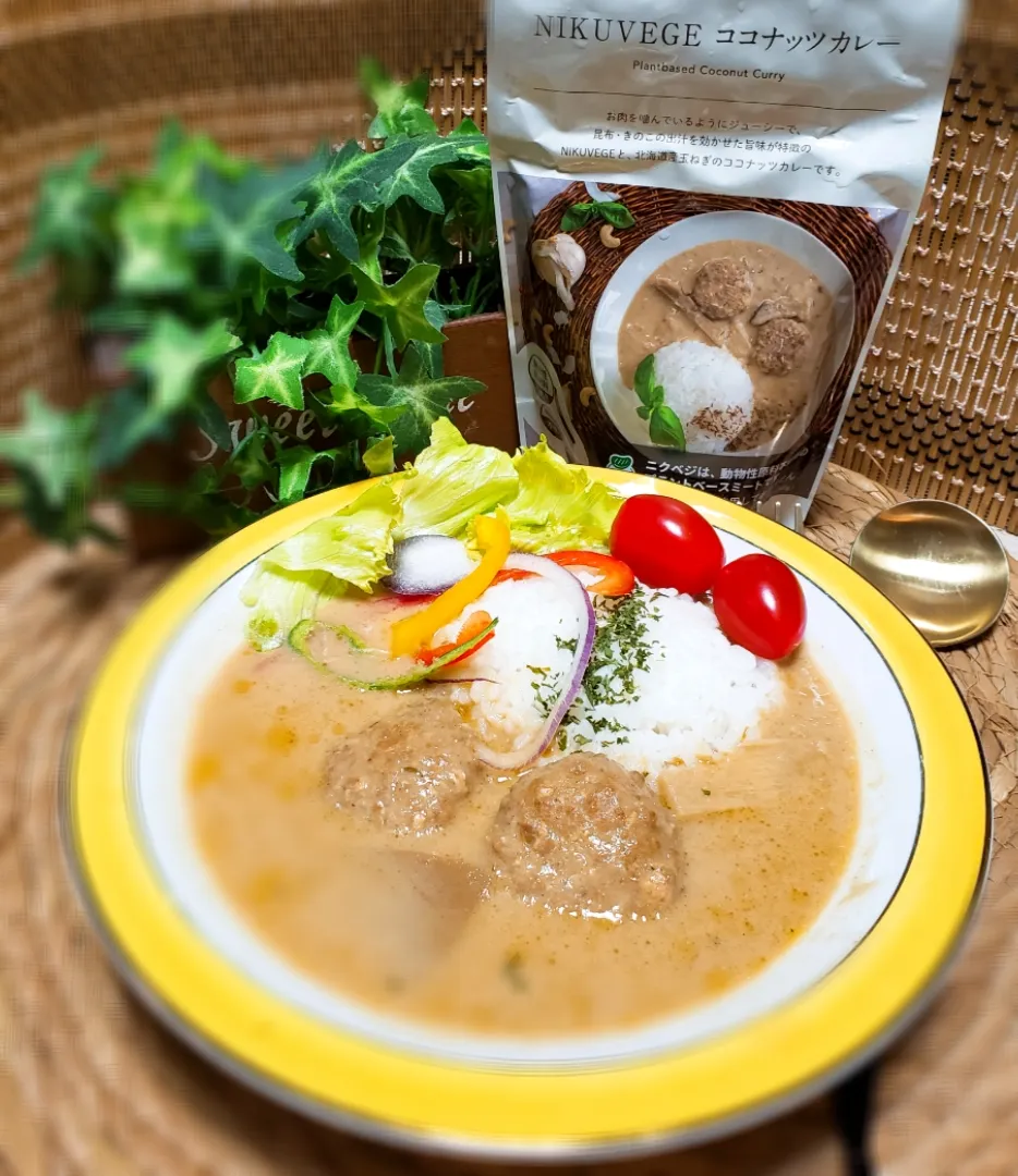 29肉の日に
大豆ミート
NIKUVEGE ココナッツカレー🍛|yukaringoさん