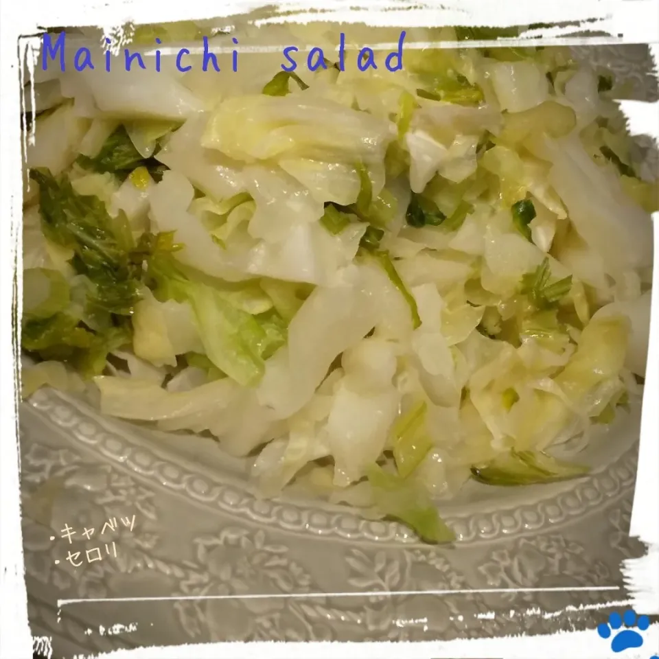 まいにちサラダ|osanpowankoさん