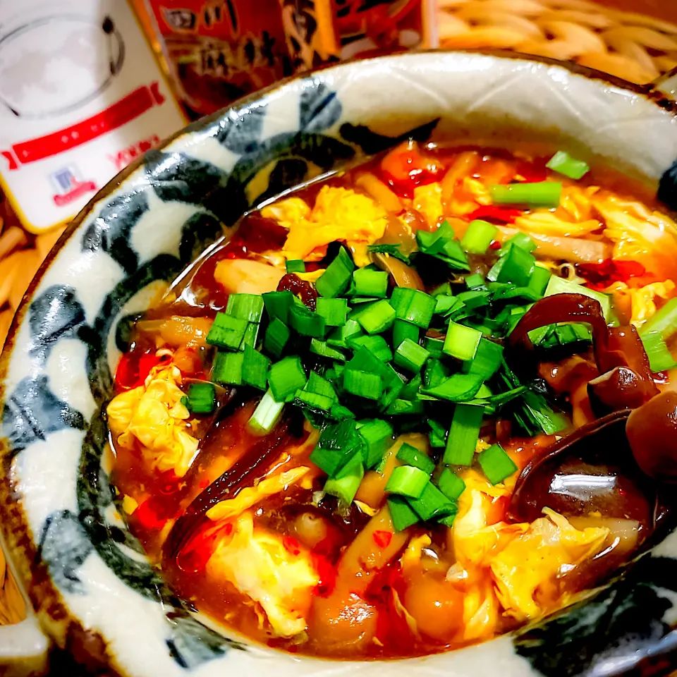 Snapdishの料理写真:本格コクうま🥘きのこたっぷり麻辣酸辣湯|にゃんぺこさん