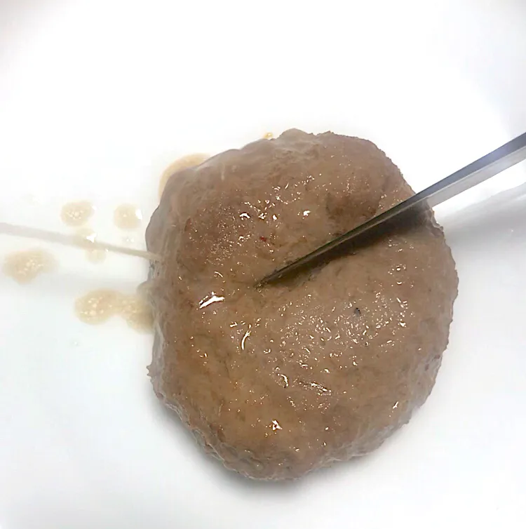 肉汁水鉄砲|ひらけごま@たかさん