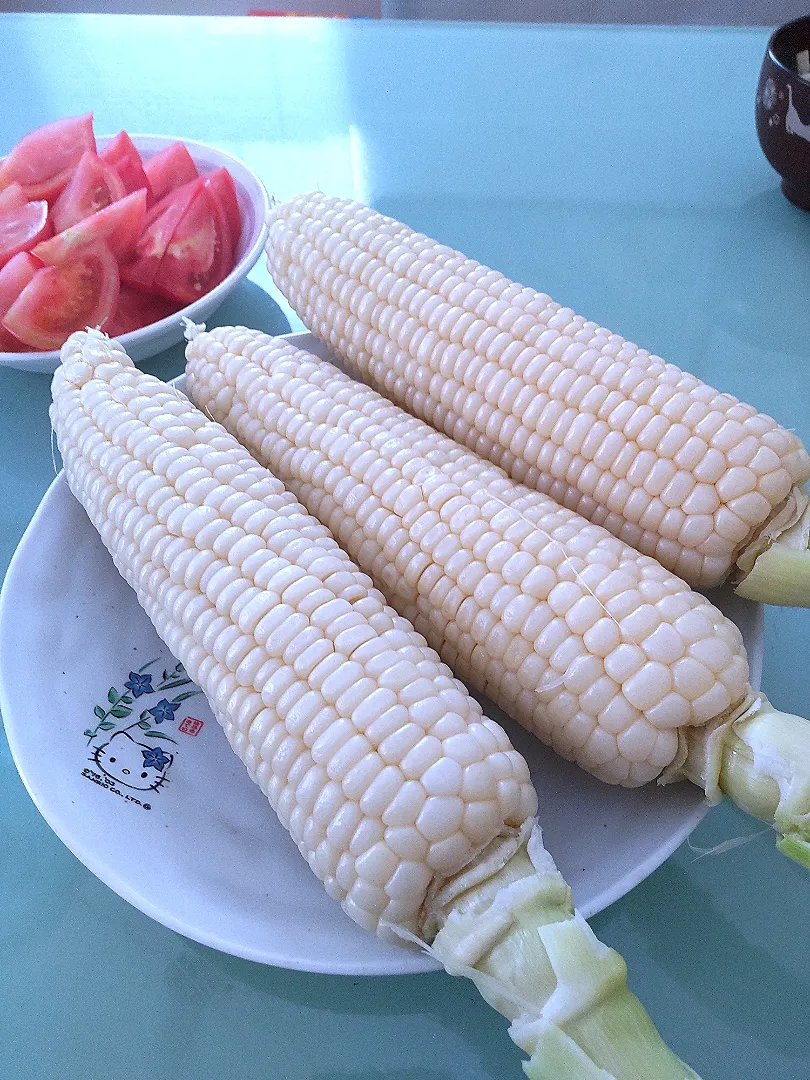 Snapdishの料理写真:群馬県川場でホワイトショコラゲット❗|かずにゃさん