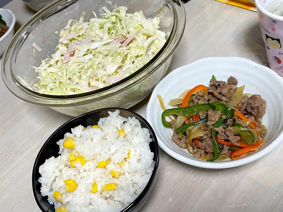 [コールスローサラダ]と[豚ひき肉とパプリカのオイスターソース炒め]|陽 香さん