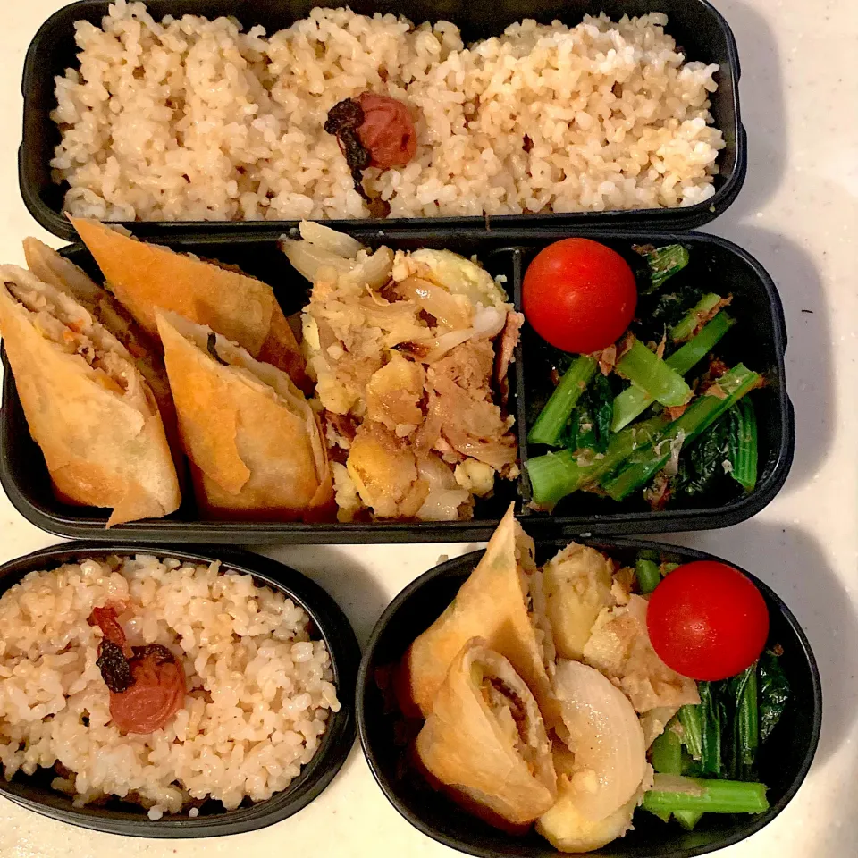 Snapdishの料理写真:今日のお弁当|Victoryageさん