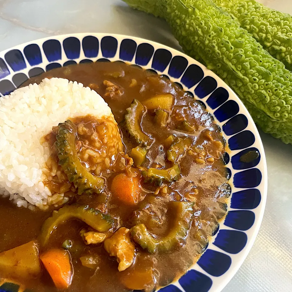 夏カレーはゴーヤカレー|adriablueさん