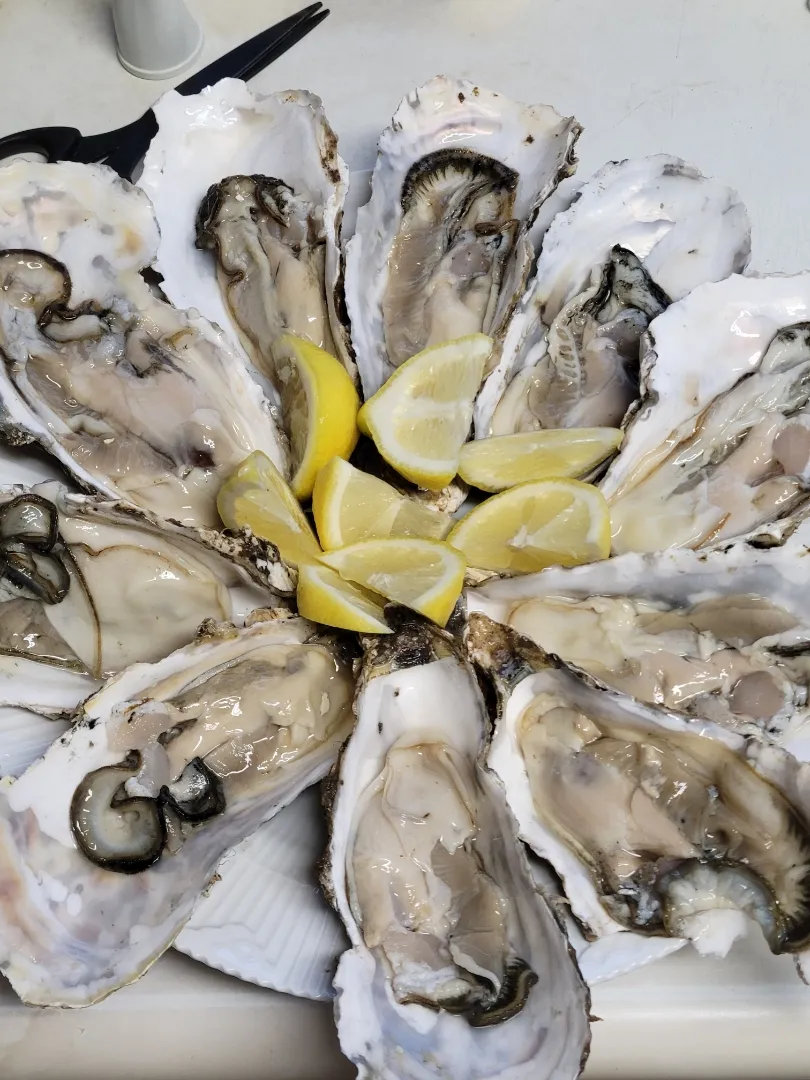 今日は創作のイメージわかないので、流動食（黒ビールで流し込む）で、、（笑）|あんさん