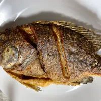 Snapdishの料理写真:telapia|ピーチ アマルさん