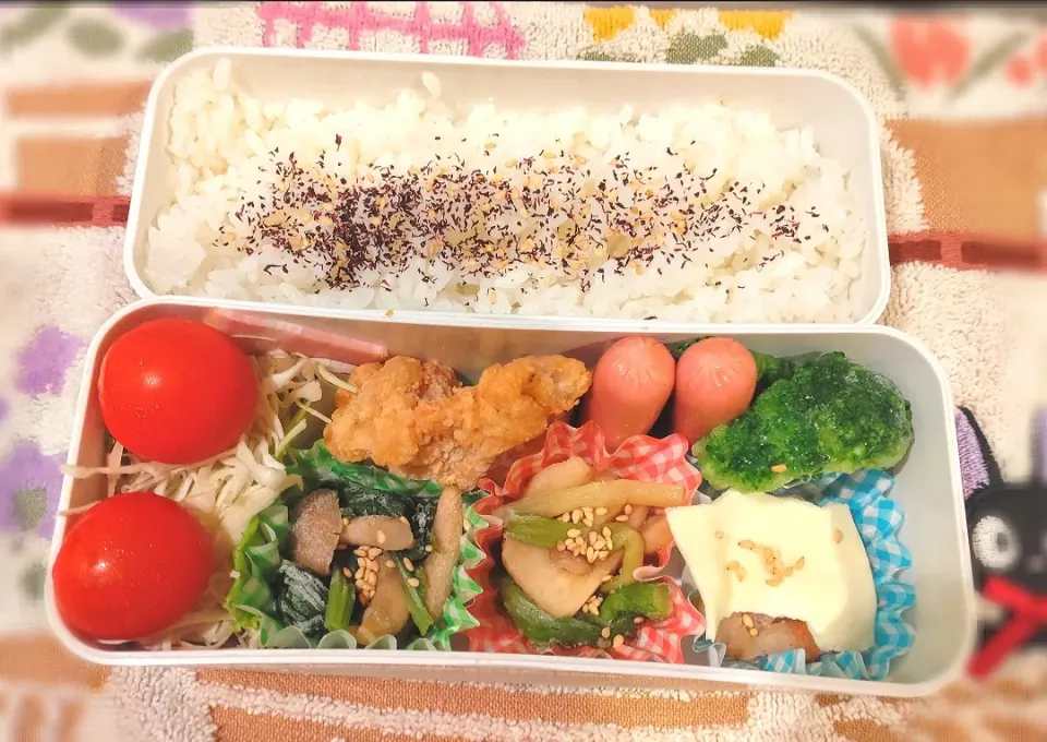 8月3日 今日のお弁当|ビアンカさん