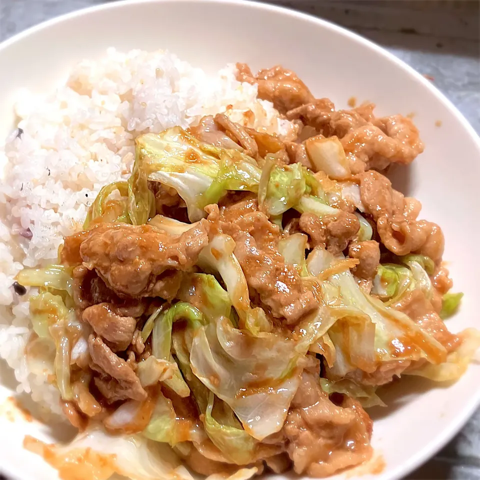 今夜はご飯が進む！回鍋肉ライスを頂きました😋🎉🎵|ギムレットさん