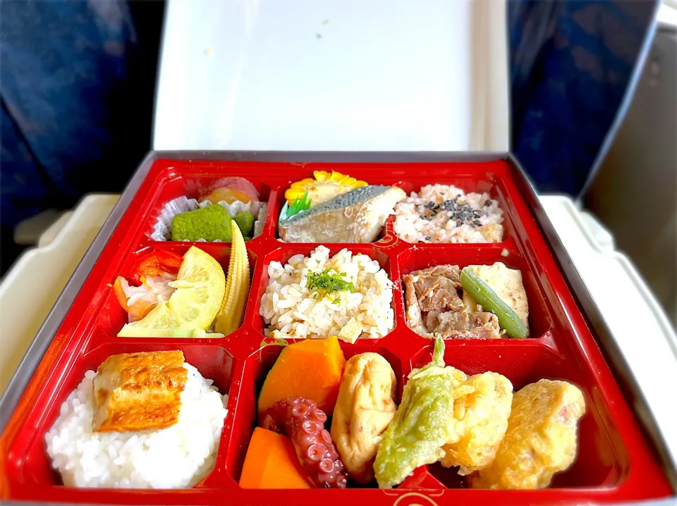 駅弁 夏の彩り弁当🍱 新大阪🚄|ナナさん