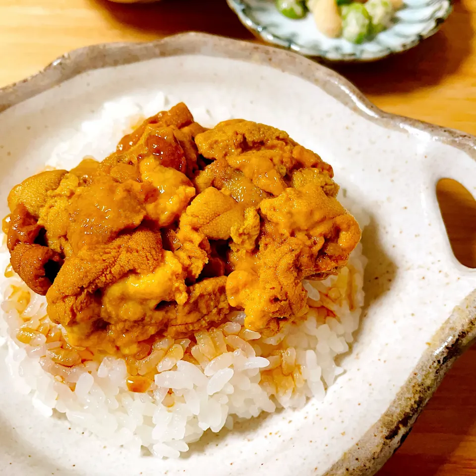 Snapdishの料理写真:⭐️ウニ丼⭐️|Laniさん