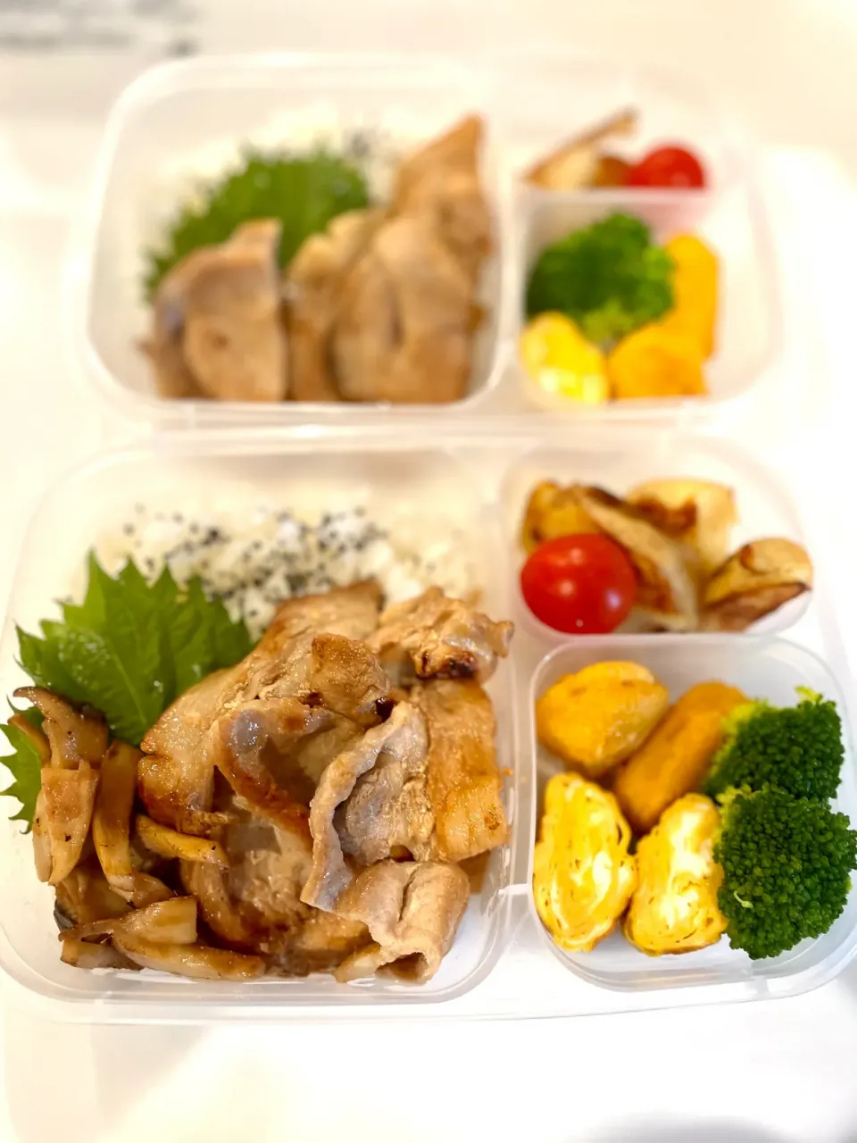 Snapdishの料理写真:夏休みの家弁当|ころころさん