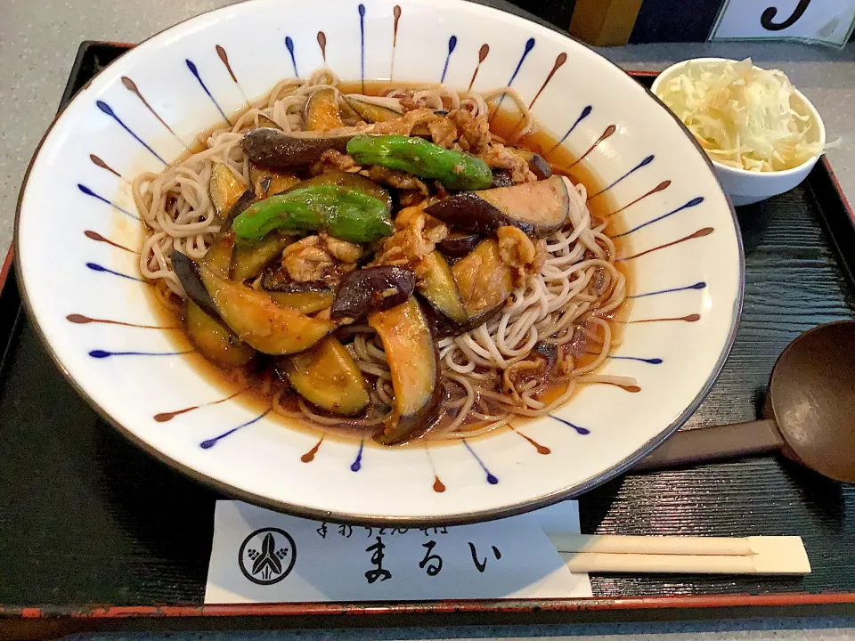 今日のお昼は『まるいさんの冷やし肉茄子蕎麦』😋|アライさんさん