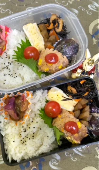 '23．8/11
本日のお弁当🍱|たえさん