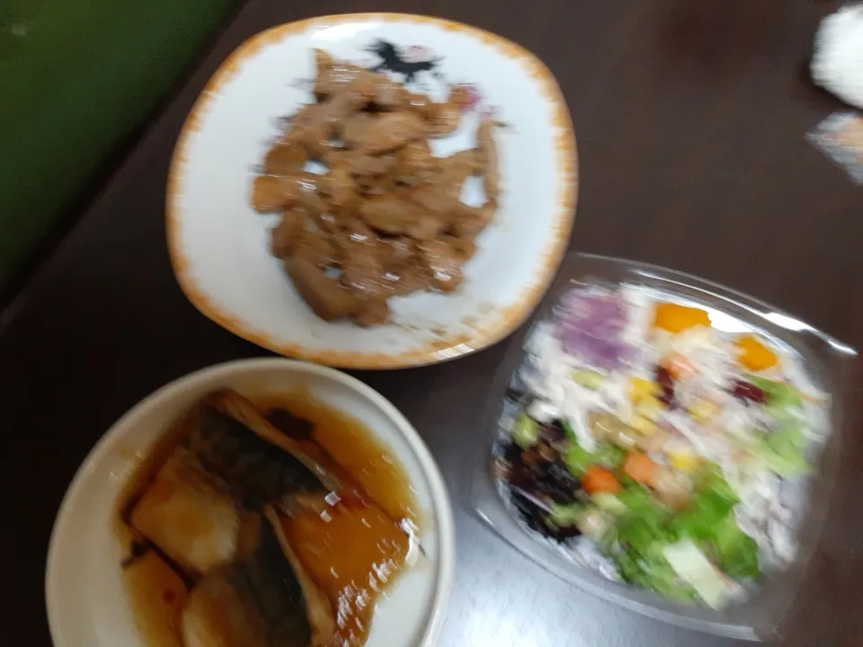 お肉、サラダ、サバの味噌焼き|稲荷キツネさん