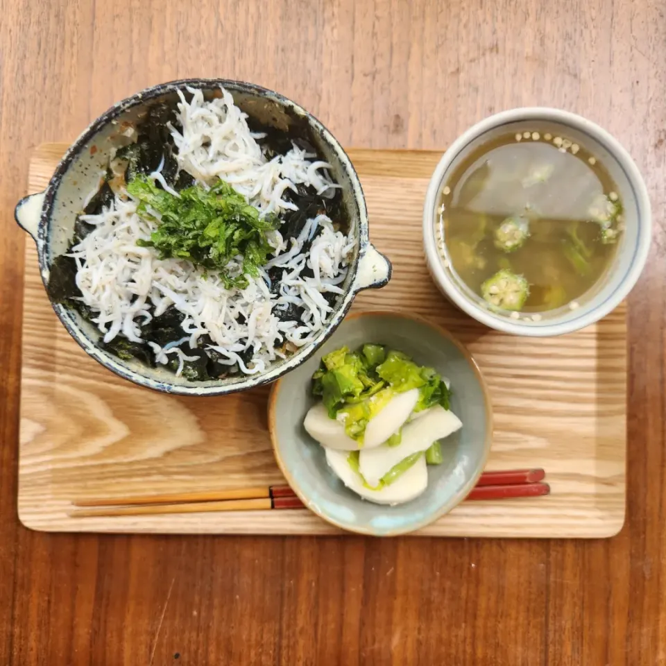 20230812
しらす丼
オクラ汁
蕪の玉ねぎ麹漬け|noccoさん