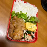 Snapdishの料理写真:随意領域(テリトリー)弁当|みゃりたさん