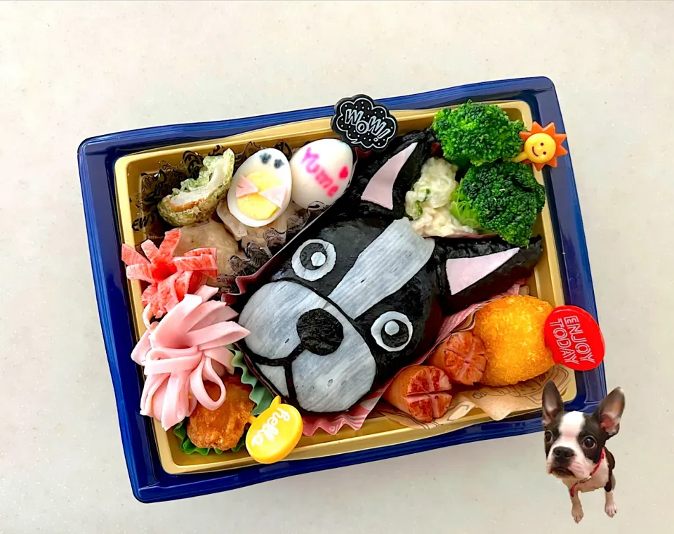 Snapdishの料理写真:ボストンテリア弁当|鉄男のママ（yume）さん