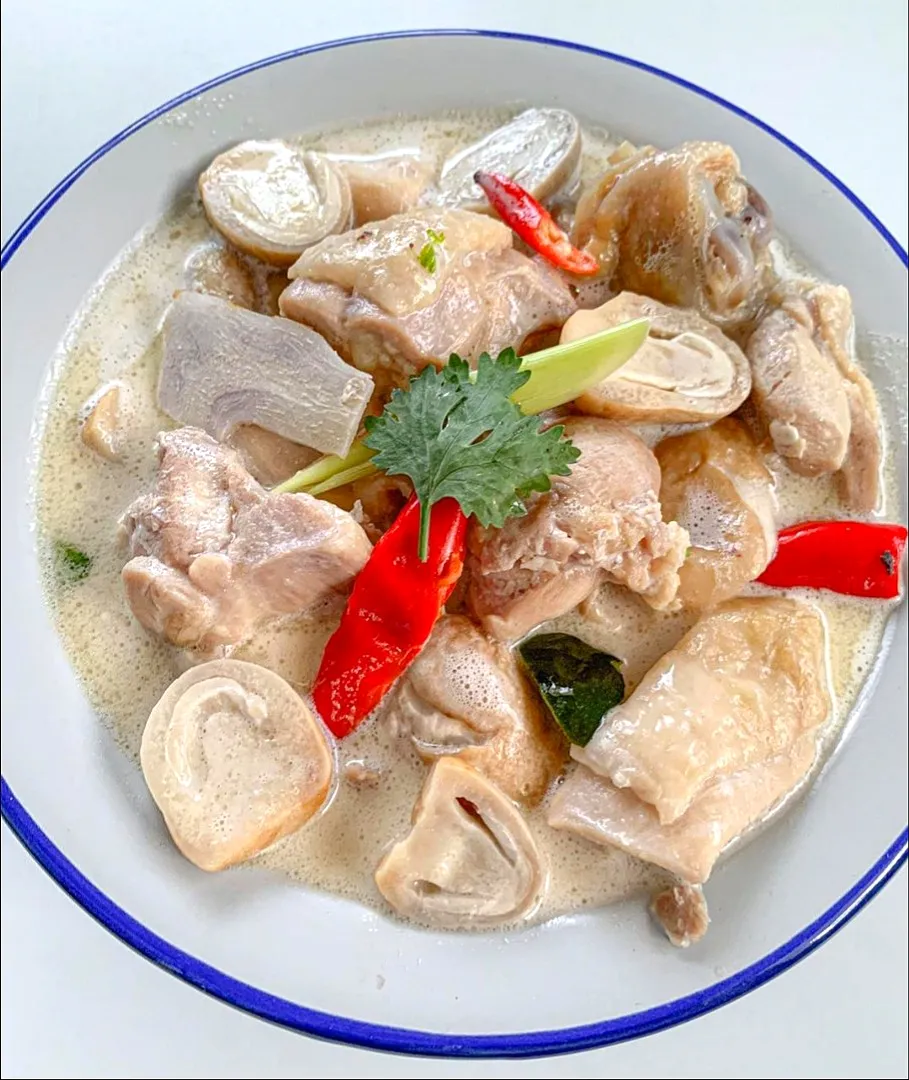 Thai Coconut Chicken Soup aka 'Tom Kha Gai' (ต้มข่าไก่) 🐔🍲
...
...
Mmmmm... It's Always The Best! 🫰🏻🤤|An'leeさん