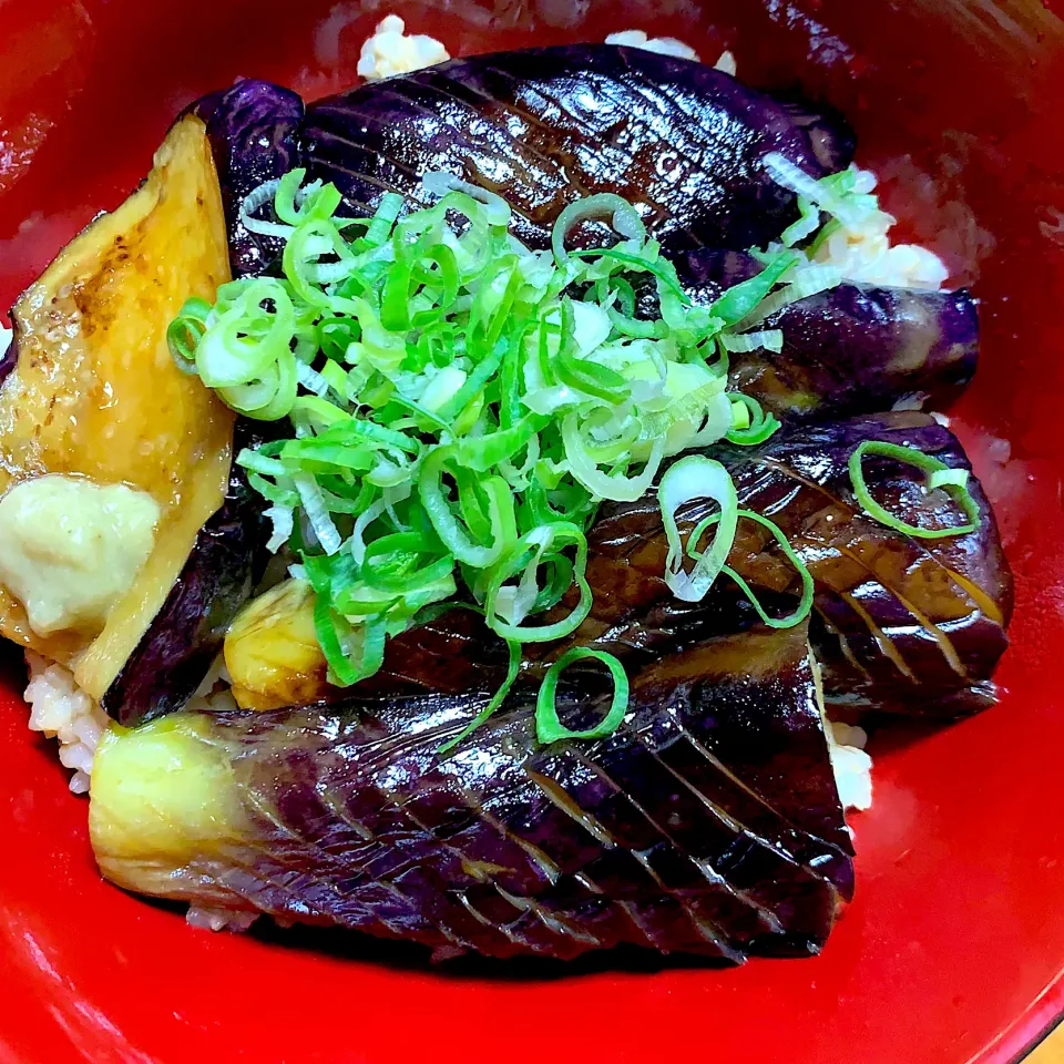 茄子の蒲焼き丼^_^|きよっさんさん