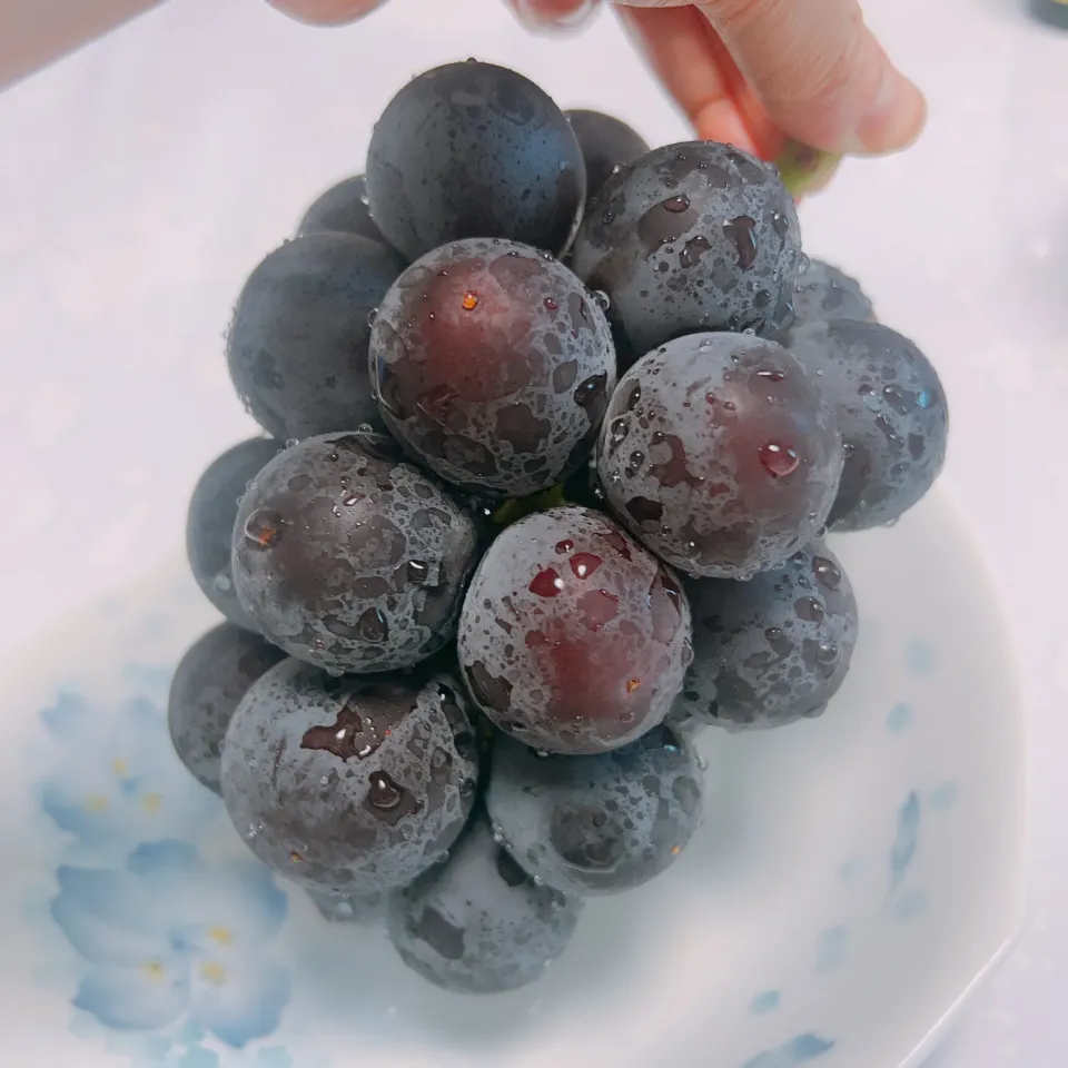 ぶどう🍇|まめさん