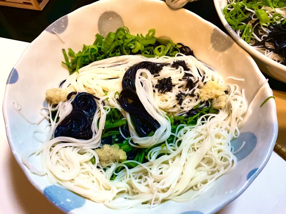 三輪素麺の真っ黒な「そうめん機関車」と揖保乃糸の「黒帯」でパンダそうめん。。。似てない。キャラ弁作ってる方尊敬します。|Takeshi  Nagakiさん