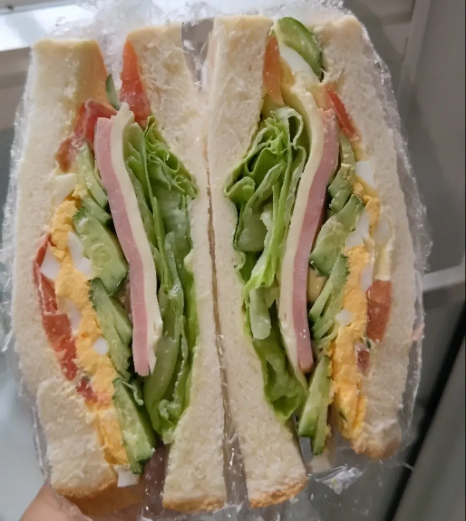 🥪|そごうりんさん