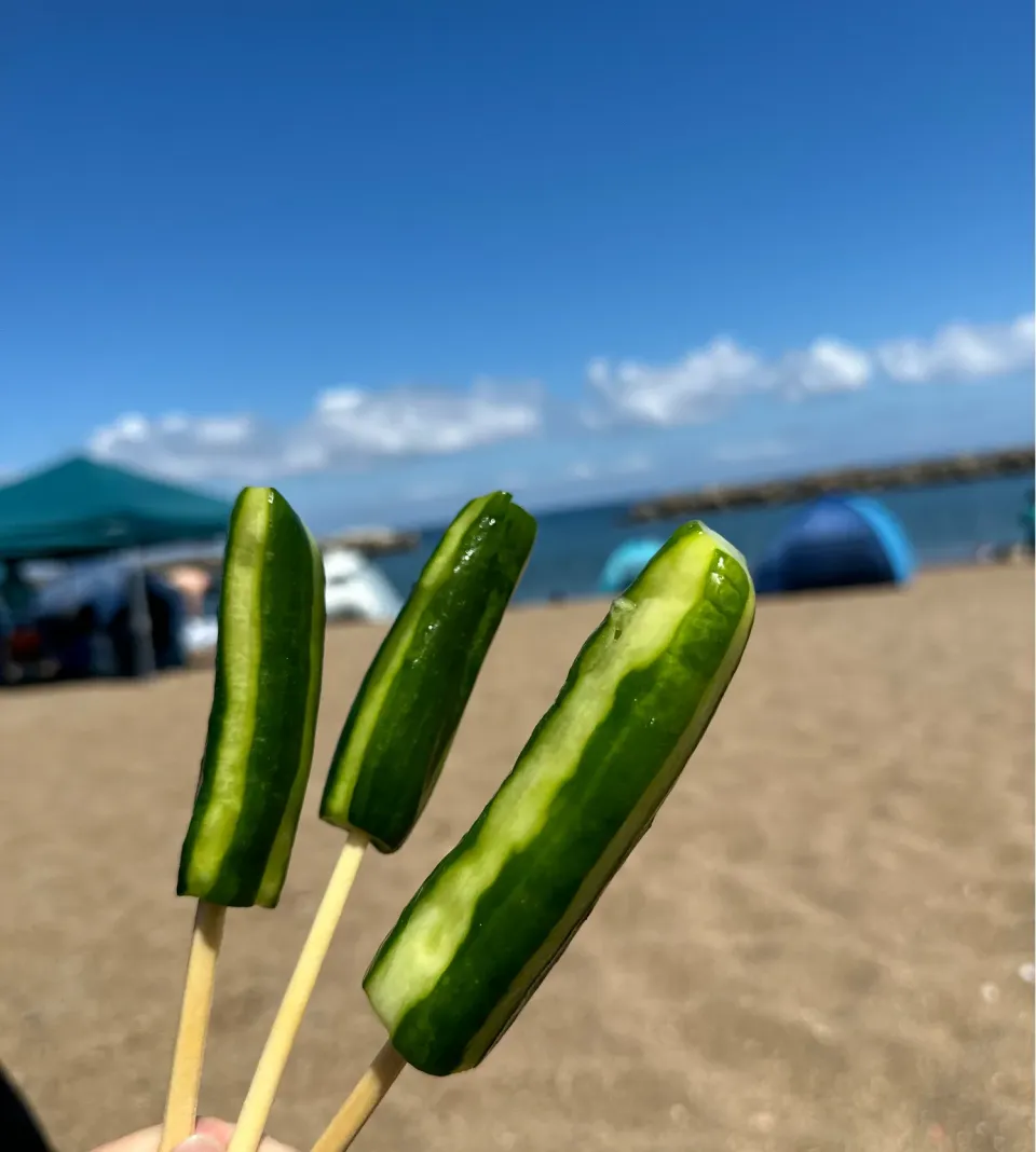 Snapdishの料理写真:outdoor snack #104|megoodさん