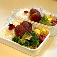 Snapdishの料理写真:パパと娘っち弁当