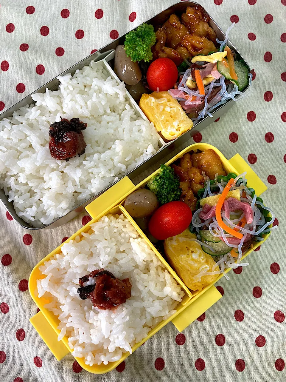 Snapdishの料理写真:8月25日 週末弁当🍱|sakuramochiさん