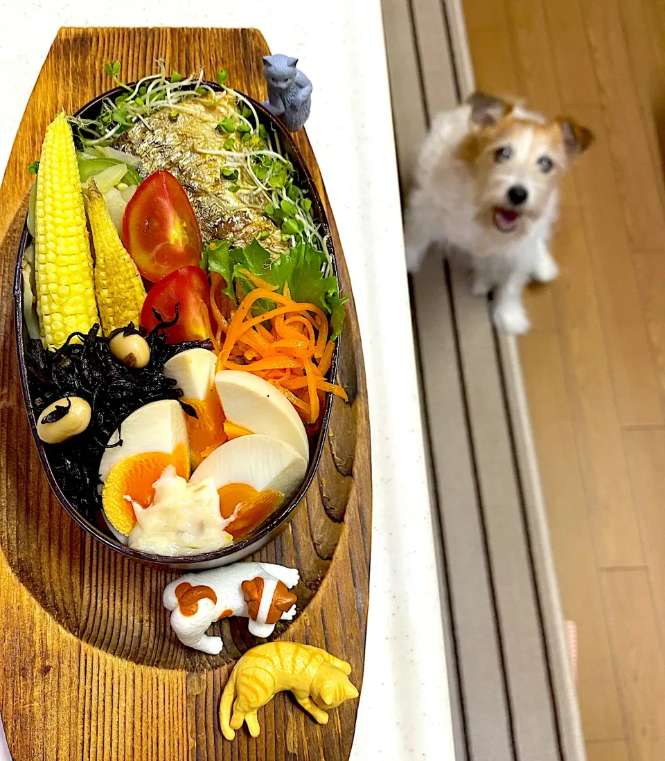 Snapdishの料理写真:オリーブ鯖弁当|cafe3733さん