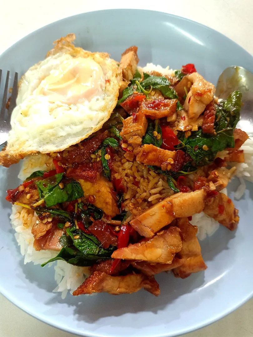 Gaprao Moo Krob+ Kai Dao (กระเพราหมูกรอบ+ไข่ดาว)  🐷🌶️🌶️🍳
...
...
Mmmmm... Spicy & Savory 🤤🌶️|An'leeさん