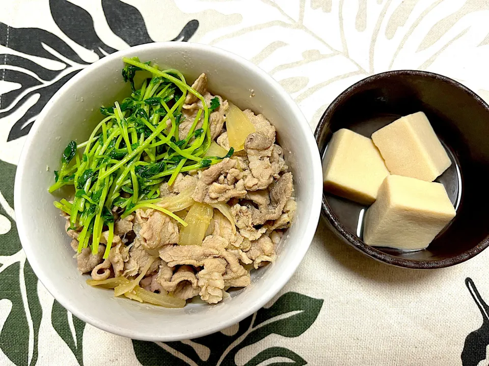 豚豆苗丼、高野豆腐の炊いたん|jackybeanさん