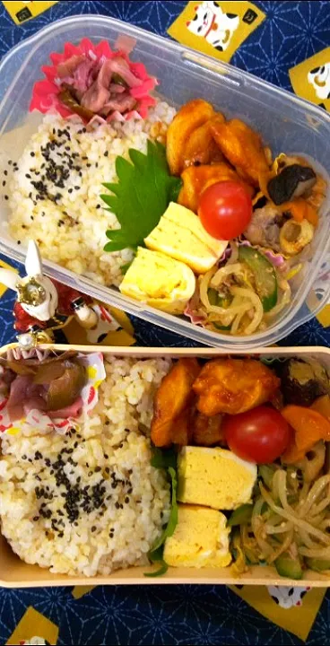 '23．8/28
本日のお弁当🍱|たえさん